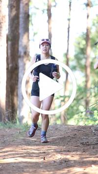 BIB:  <button type="button" onclick="openModal(26568619)" class="btn btn-primary btn-sm float-right" data-toggle="modal" data-target=".modal-high-quality">
                <i class="fa fa-download"></i> Download
                </button>